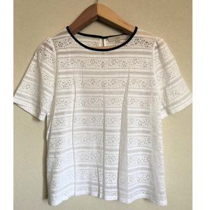 Loft Stripes Floral Lace Tee